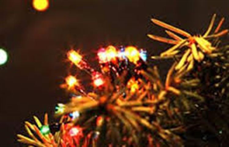 christmas lights switch on christmas lights switch on