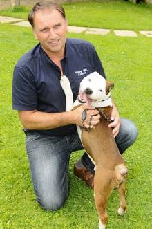 Steve Moore from Viking Oak Boarding Kennels and Animal Sanctuary with with Stumpy - the dog who was dumped with his tail amputated.