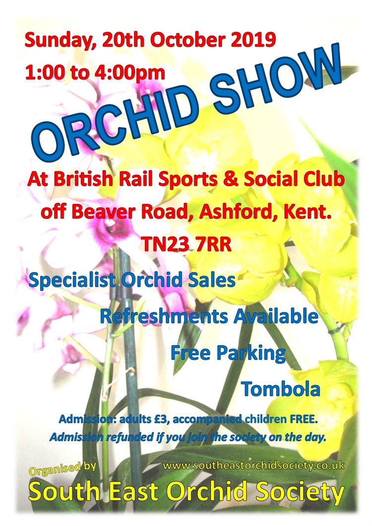 South East Orchid Society Autumn Show - 