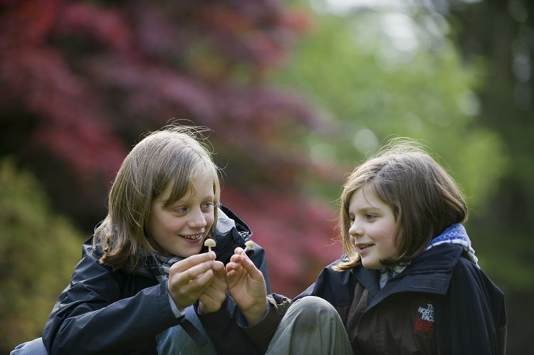 Fungi Festival: Family Garden Trail