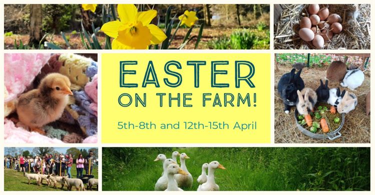 Easter Open Days at Yew Tree Farm School