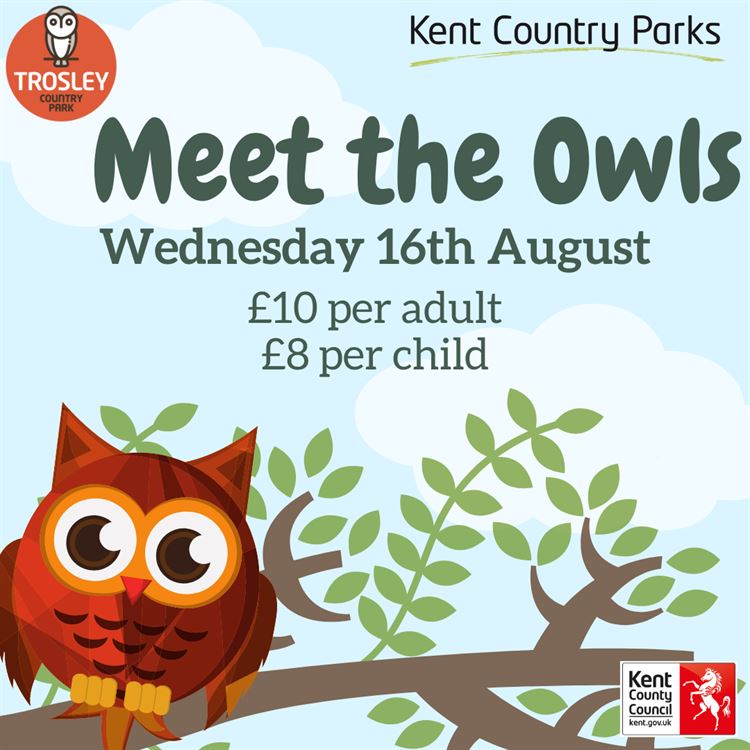 Meet the Owls at Trosley