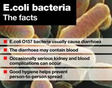 E-coli outbreak in Kent