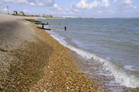 What a dog's dinner! Labrador Barney swallows 93 pebbles on Sheerness Beach